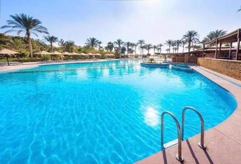 Day, Pool view, Swimming pool, sunbed