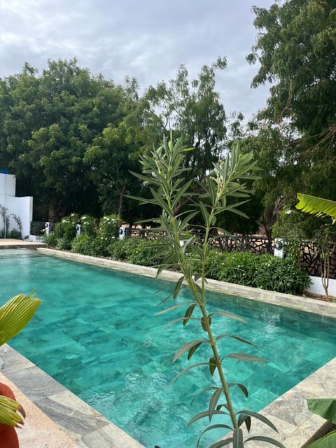Garden, Swimming pool