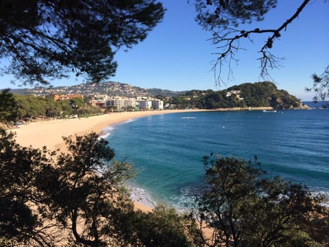Natural landscape, Beach