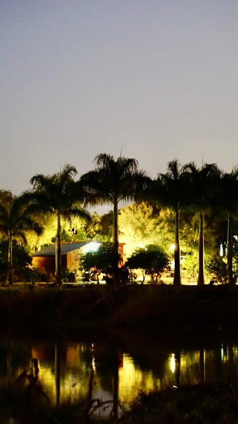 Night, Natural landscape, Garden view