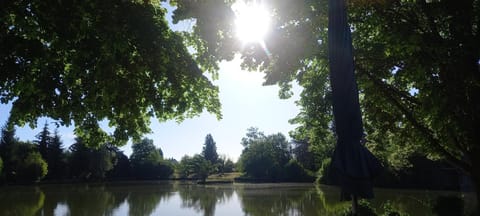 Lake view
