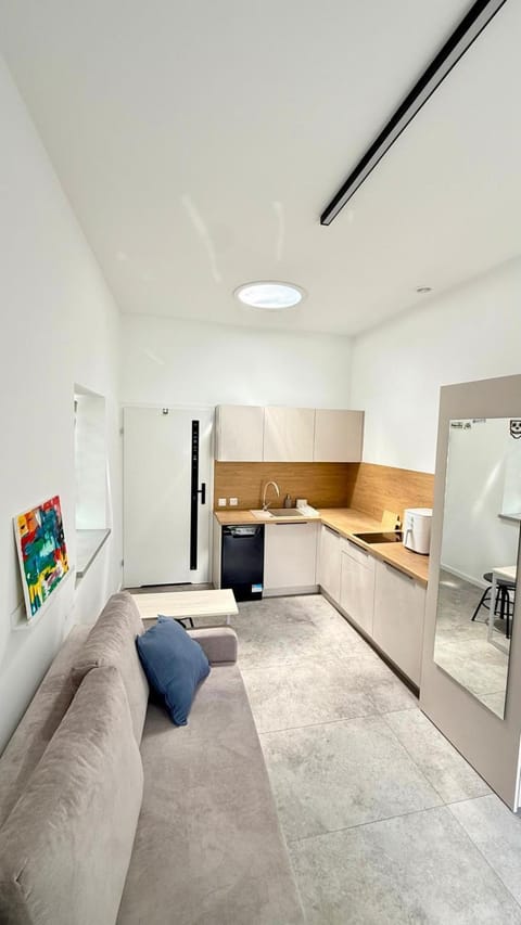Bed, TV and multimedia, Kitchen or kitchenette, Living room, Seating area, Bedroom