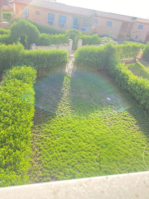 Garden, Garden view, Garden view