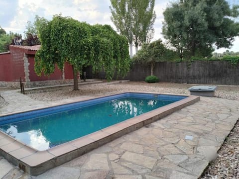 Garden, Swimming pool