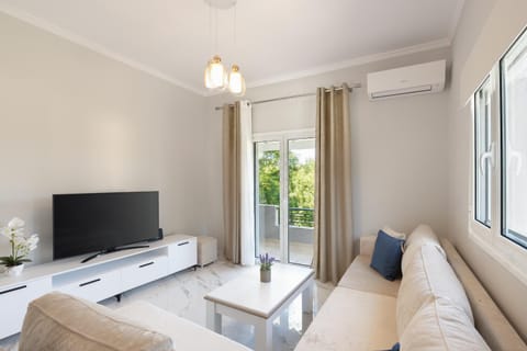 TV and multimedia, Living room, Seating area, air conditioner