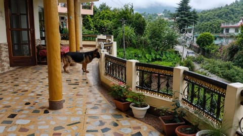 Property view