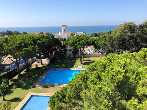 Garden, Swimming pool