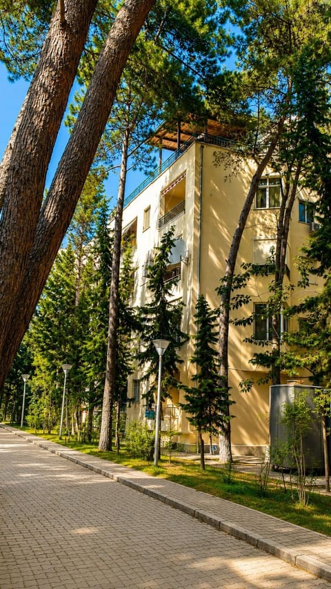 Property building, Garden, On site