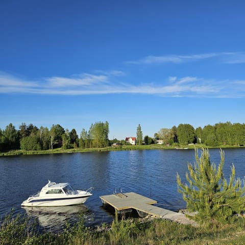 Natural landscape, River view