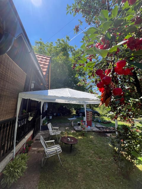 Day, Garden, Garden view