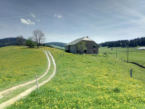 Spring