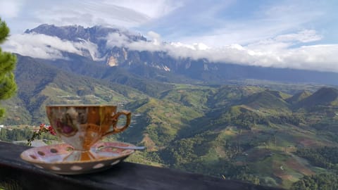 Restaurant/places to eat, Restaurant/places to eat, Facade/entrance, Food close-up, Bird's eye view, Balcony/Terrace, Photo of the whole room, Floor plan, Hiking, Cycling, On site, Food, Mountain view, Mountain view, Drinks, Non alcoholic drinks, Family