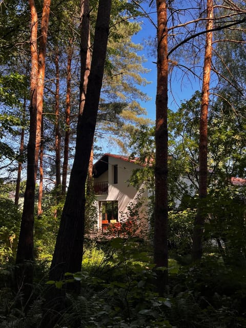 Property building, Natural landscape, Garden, Garden view