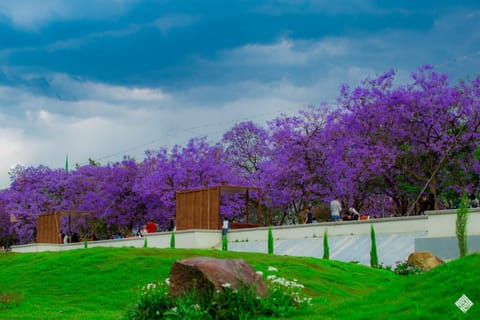 Natural landscape