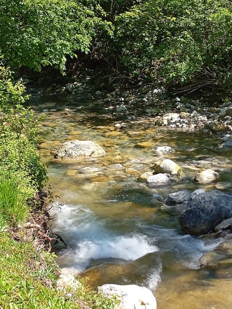 River view