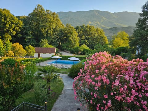 Day, Natural landscape, Garden view, Mountain view, Pool view, Swimming pool