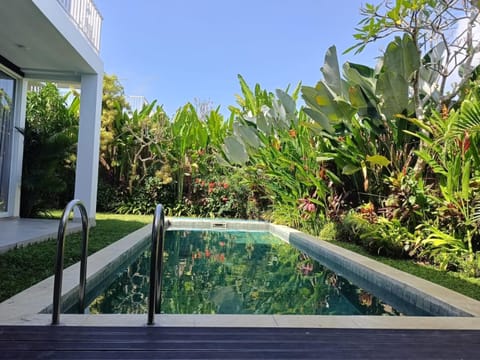 Garden, Swimming pool