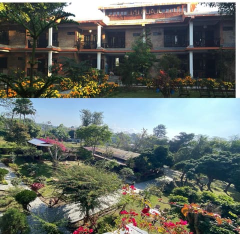 Property building, Garden, Garden view