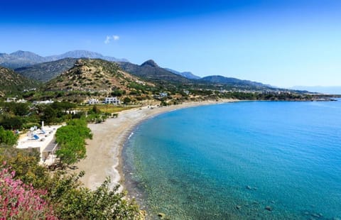Bird's eye view, Snorkeling, Beach