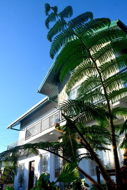 Property building, Day