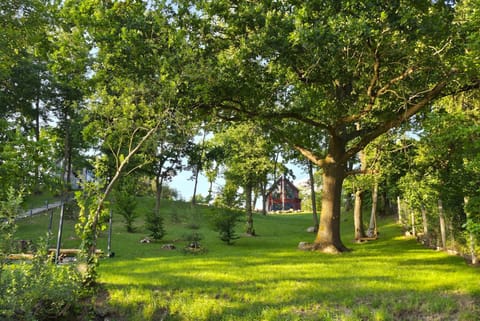 Natural landscape, Garden, View (from property/room), Garden view, Area and facilities, pet friendly