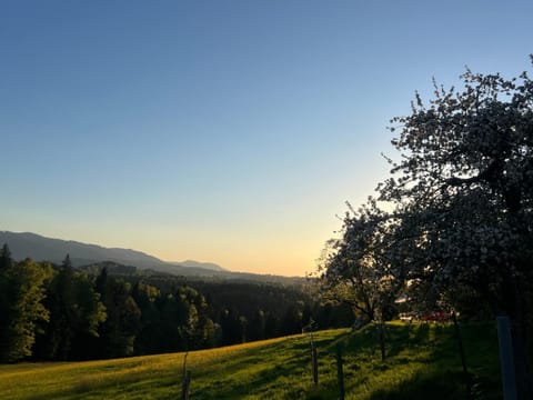 Natural landscape