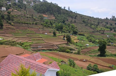 Natural landscape
