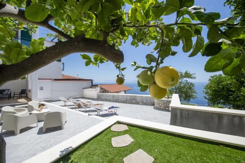 Patio, Garden, Garden view
