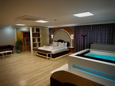 Bed, Night, Hot Tub, Sauna, View (from property/room), Bedroom, Facility for disabled guests, Parking, furniture, internet, air conditioner