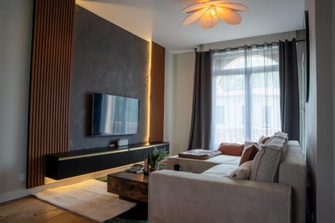 TV and multimedia