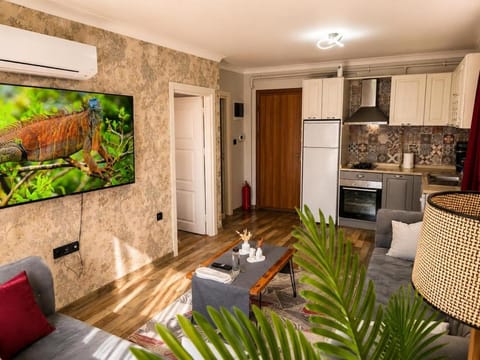 Kitchen or kitchenette, Seating area, oven, stove, air conditioner