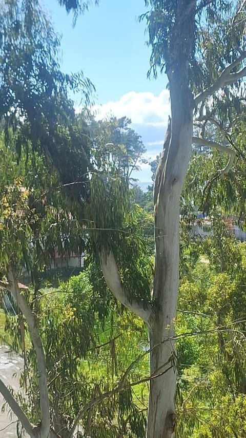 Natural landscape, Garden, Mountain view, Sea view