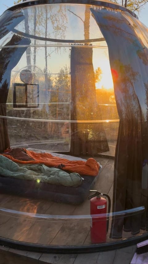 Bed, Photo of the whole room, Bedroom, Sunset