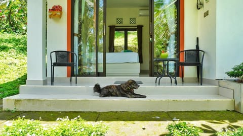 Property building, Garden view