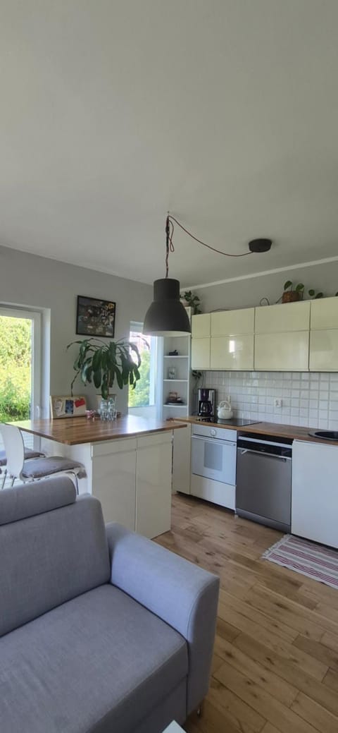 TV and multimedia, Kitchen or kitchenette, Living room, Dining area, dishwasher, oven, pet friendly, stove