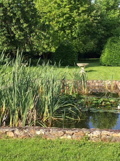 Garden, Area and facilities