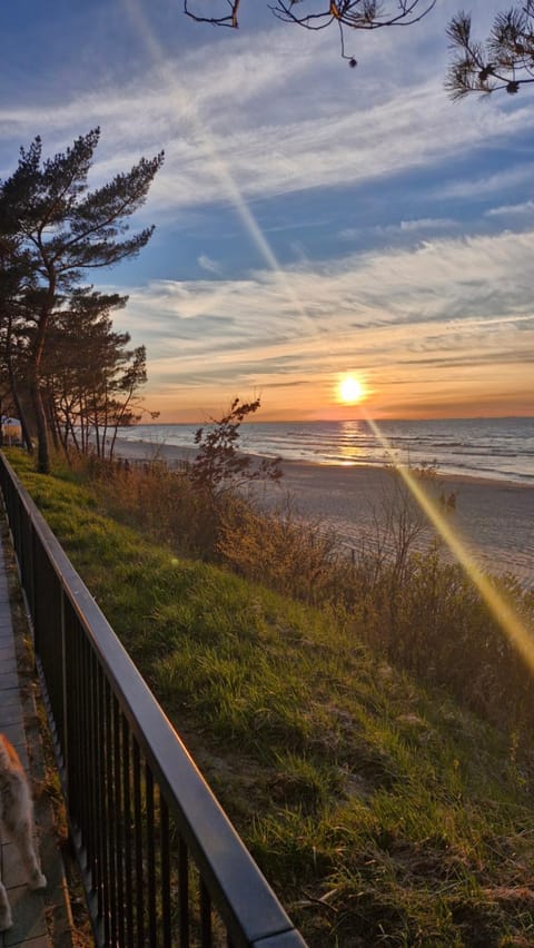 Natural landscape, Beach, Sunset