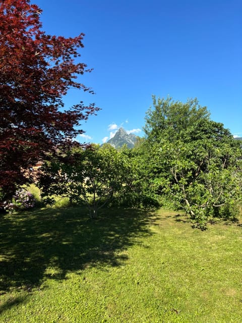 Garden, Mountain view
