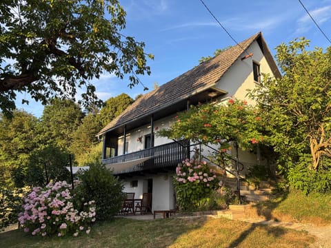 Property building, Day, Garden, Garden view
