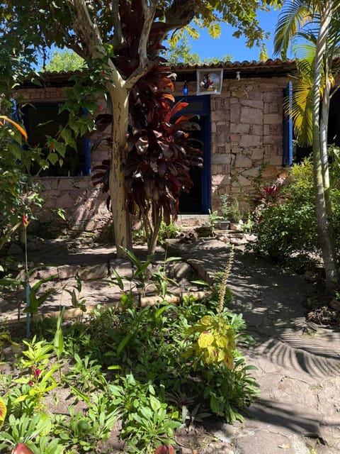 Property building, Garden, Garden view