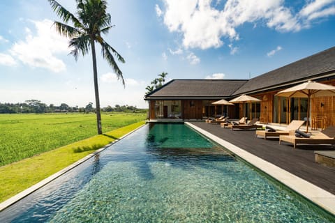 Property building, Natural landscape, Swimming pool, sunbed