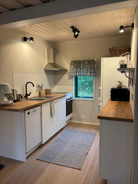Kitchen or kitchenette, dishwasher