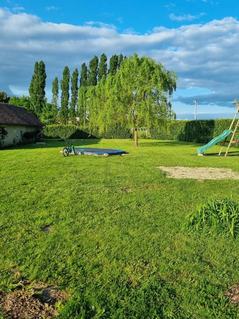 Natural landscape, Garden, Garden view