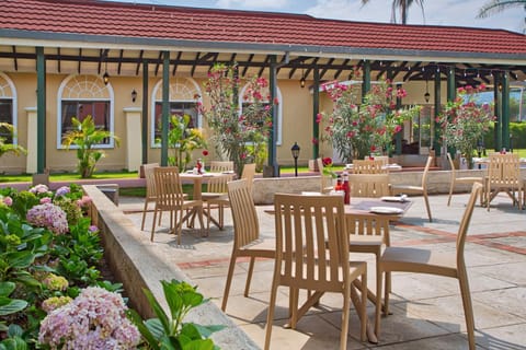 Restaurant/places to eat, Garden view