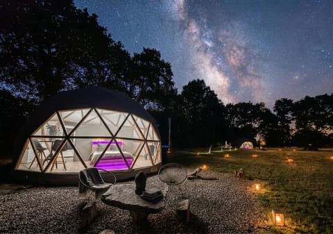 Night, Garden, Garden view