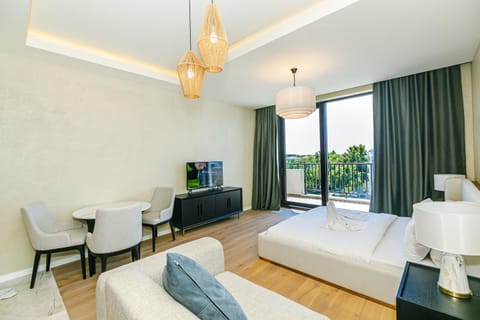 Bed, TV and multimedia, Living room, Seating area, Bedroom