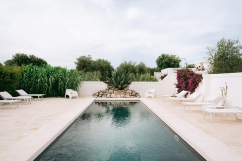 Oltre gli Ulivi Bed and Breakfast in Province of Taranto