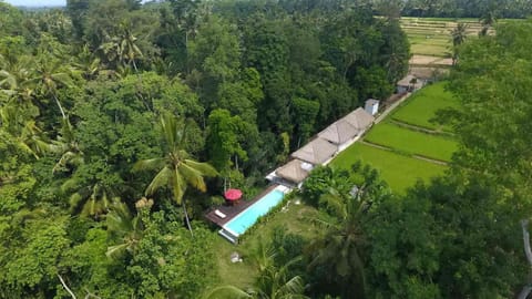 Natural landscape, Bird's eye view, Garden view, Pool view