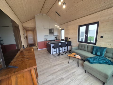 Kitchen or kitchenette, Living room, Seating area, Dining area