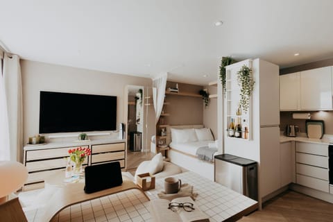 Bed, TV and multimedia, Kitchen or kitchenette, Living room, Photo of the whole room, Seating area, Evening entertainment